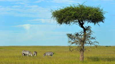 Národné parky a prírodné rezervácie
