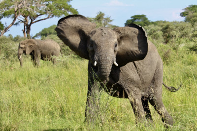 Ďalšie národné parky a zaujímavosti