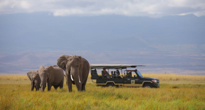 Safari okruh Keňou – od Kilimandžára po Masai Mara