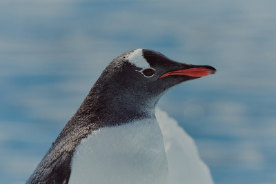 Expedice: obecné informace