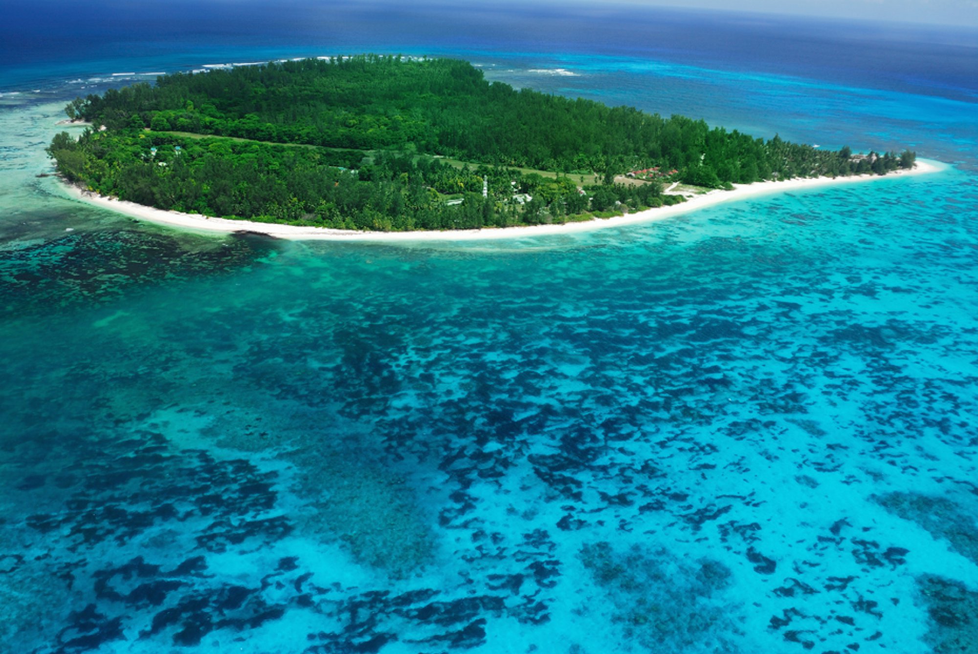 O island. Остров Коэтиви Сейшелы. Коралловые острова Сейшелы. Атолл коралловый остров.