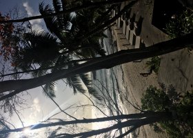 4-seychelske-ostrovy-v-juli-2016-111.jpg