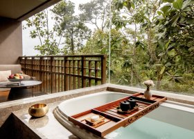 bali-hotel-anantara-ubud-bali-resort-034.jpg