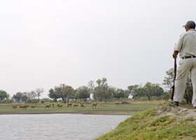 botswana-hotel-shinde-021.jpg