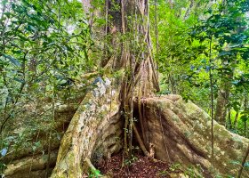 dobrodruzna-cesta-na-madagaskar-014.jpg