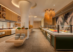dominikanska-republika-hotel-dreams-playa-esmeralda-resort-spa-068.png