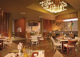 dominikanska-republika-hotel-dreams-royal-beach-punta-cana-072.jpg