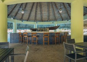 dominikanska-republika-hotel-iberostar-selection-hacienda-dominicus-135.jpg