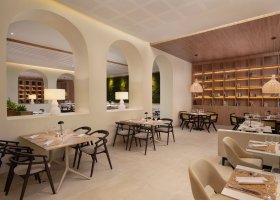 dominikanska-republika-hotel-secrets-playa-esmeralda-resort-spa-024.jpg