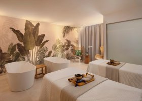 dominikanska-republika-hotel-secrets-playa-esmeralda-resort-spa-038.jpg