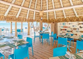 dominikanska-republika-hotel-tortuga-bay-014.jpg