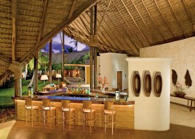 dominikanska-republika-hotel-zo-try-agua-punta-cana-020.jpg