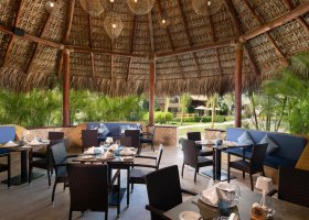 dominikanska-republika-hotel-zo-try-agua-punta-cana-080.jpg