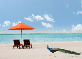 dubaj-hotel-ja-beach-hotel-293.jpg