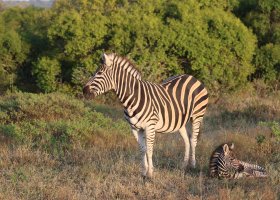 famtrip-v-juhoafrickej-republike-005.jpg