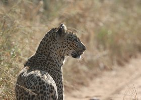 famtrip-v-juhoafrickej-republike-007.jpg