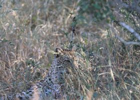 famtrip-v-juhoafrickej-republike-011.jpg