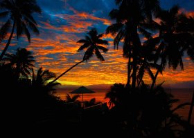 fidzi-hotel-taveuni-palms-030.jpg