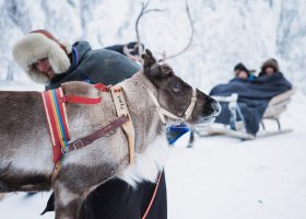 finsko-080.jpg