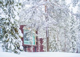 finsko-hotel-arctic-treehouse-hotel-009.jpg