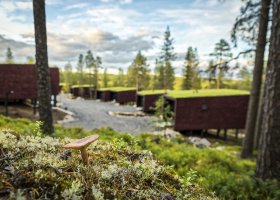 finsko-hotel-arctic-treehouse-hotel-015.jpg