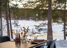 finsko-hotel-wilderness-hotel-juutua-002.jpg