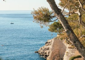 francie-hotel-les-roches-blanches-002.jpg