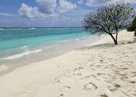 ifuru-island-maldives-osobne-011.jpg