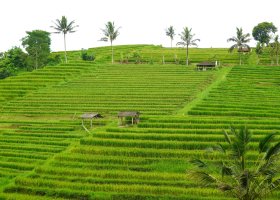 indonesie-024.jpg