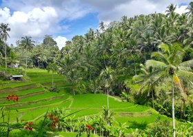 indonesie-035.jpg