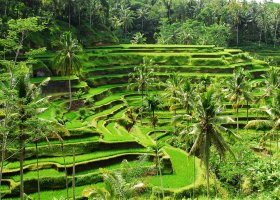 indonesie-036.jpg