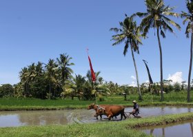 indonesie-037.jpg
