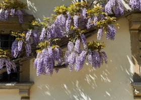 italie-hotel-villa-san-michele-020.jpg