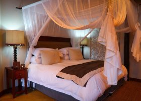 jihoafricka-republika-hotel-amakhosi-safari-lodge-035.jpg