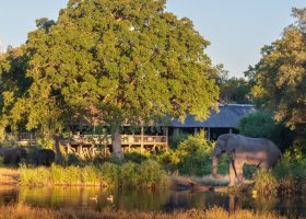 jihoafricka-republika-hotel-sabi-sabi-bush-lodge-012.jpg