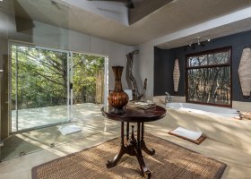 jihoafricka-republika-hotel-sabi-sabi-bush-lodge-017.jpg
