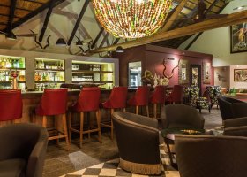 jihoafricka-republika-hotel-sabi-sabi-bush-lodge-037.jpg