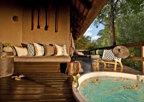 jihoafricka-republika-hotel-sabi-sabi-little-bush-camp-028.jpg