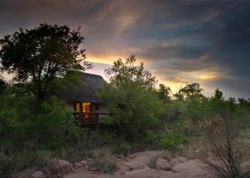 jihoafricka-republika-hotel-sabi-sabi-little-bush-camp-031.jpg