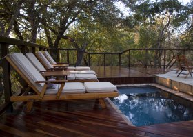 jihoafricka-republika-hotel-shumbalala-game-lodge-059.jpg