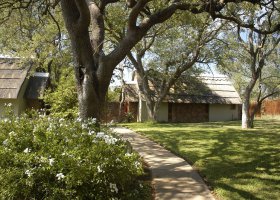 jihoafricka-republika-hotel-thornybush-game-lodge-002.jpg