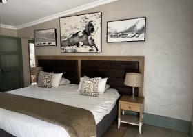 jihoafricka-republika-kapske-mesto-safari-aquila-collection-vinice-011.jpeg