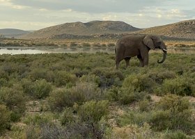 jihoafricka-republika-kapske-mesto-safari-aquila-collection-vinice-012.jpg