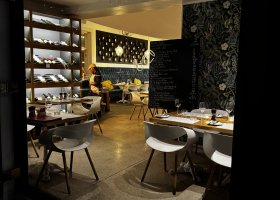 jihoafricka-republika-kapske-mesto-safari-aquila-collection-vinice-017.jpeg