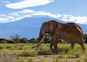 kena-hotel-angama-amboseli-009.jpg