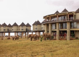 kena-hotel-salt-lick-safari-lodge-002.jpg