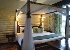 kena-hotel-taita-hills-safari-resort-spa-021.jpg