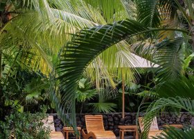 kostarika-hotel-arenas-del-mar-beach-rainforest-resort-002.jpg