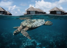 maledivy-hotel-coco-bodu-hithi-077.jpg