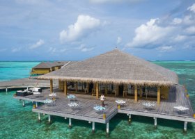 maledivy-hotel-cocoon-maldives-350.jpg